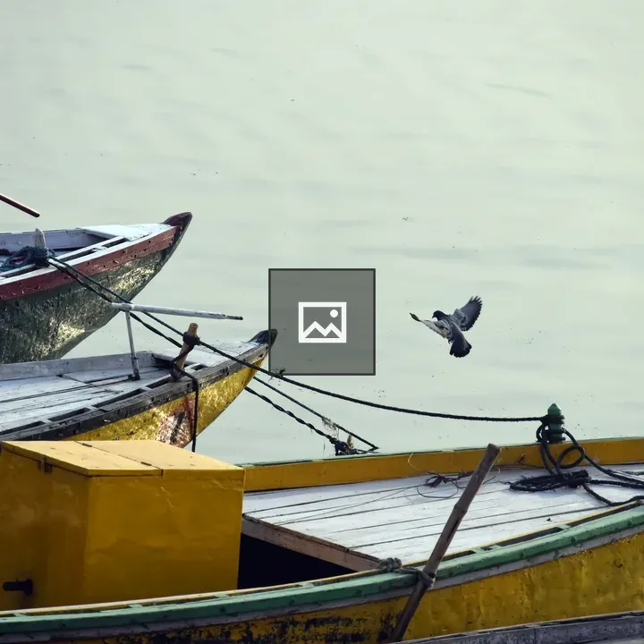 Pigeon over boats in Varanasi