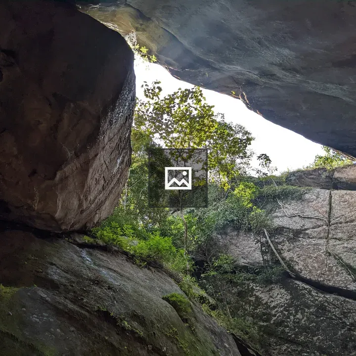 Rocky Crevice View Upward