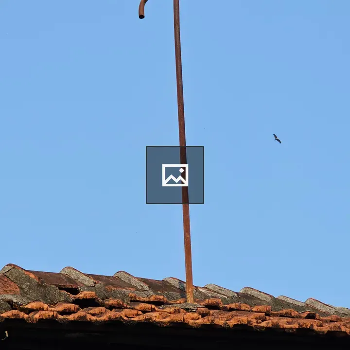 Tiled Roof with Lamp Hook