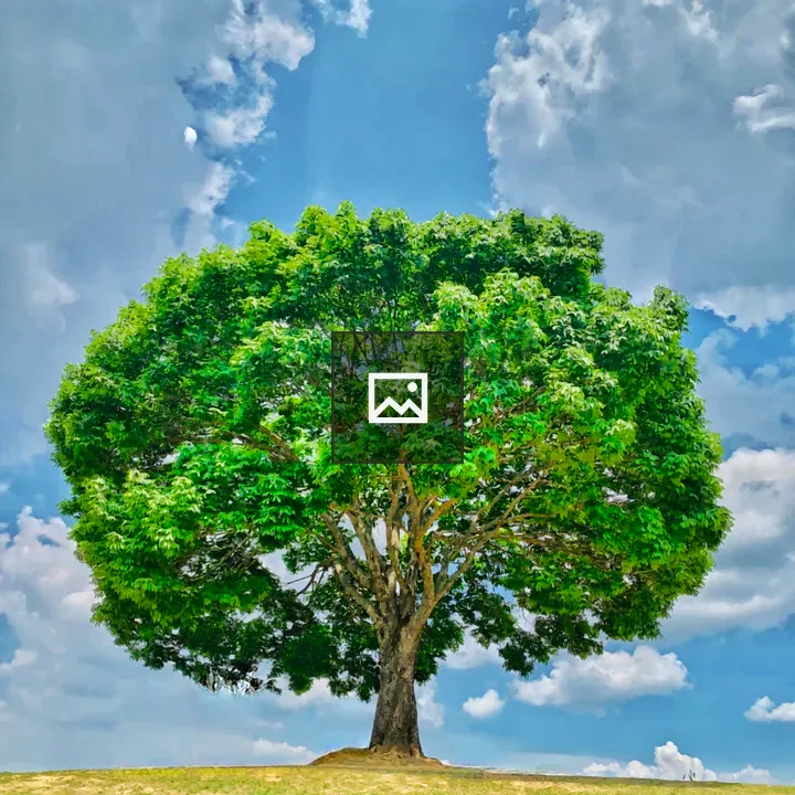 Tree Against Cloudy Sky