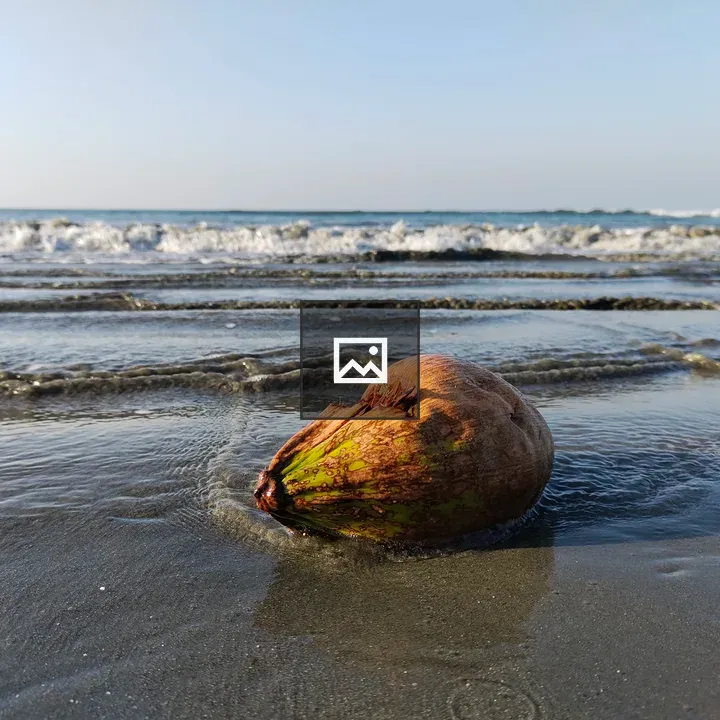Broken coconut on the beach