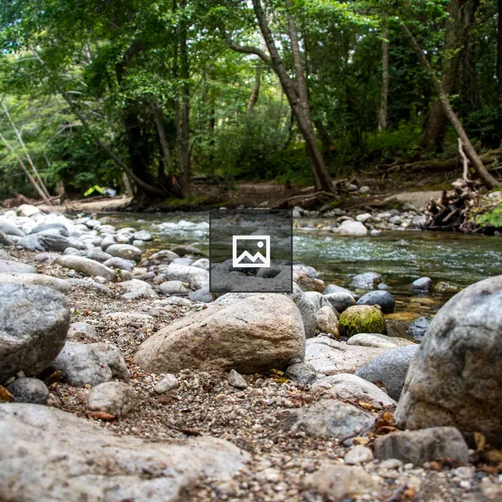 Rocky creek in the woods