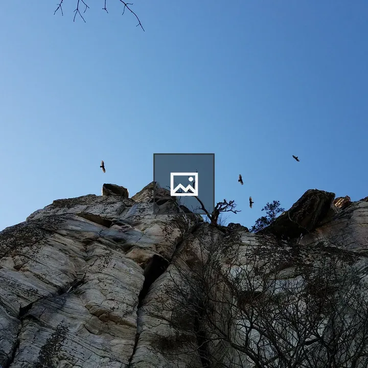Rocky Cliff with Trees and Birds