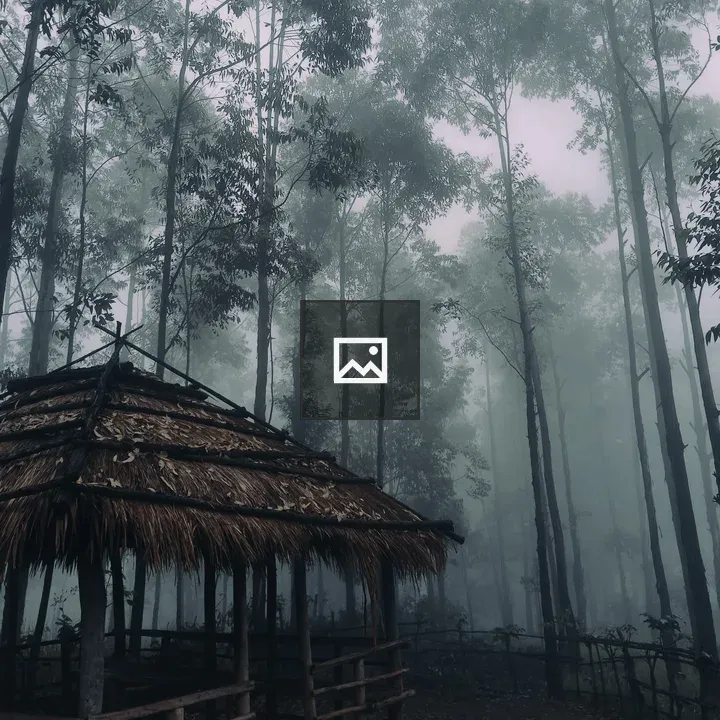 Hut in fog among trees