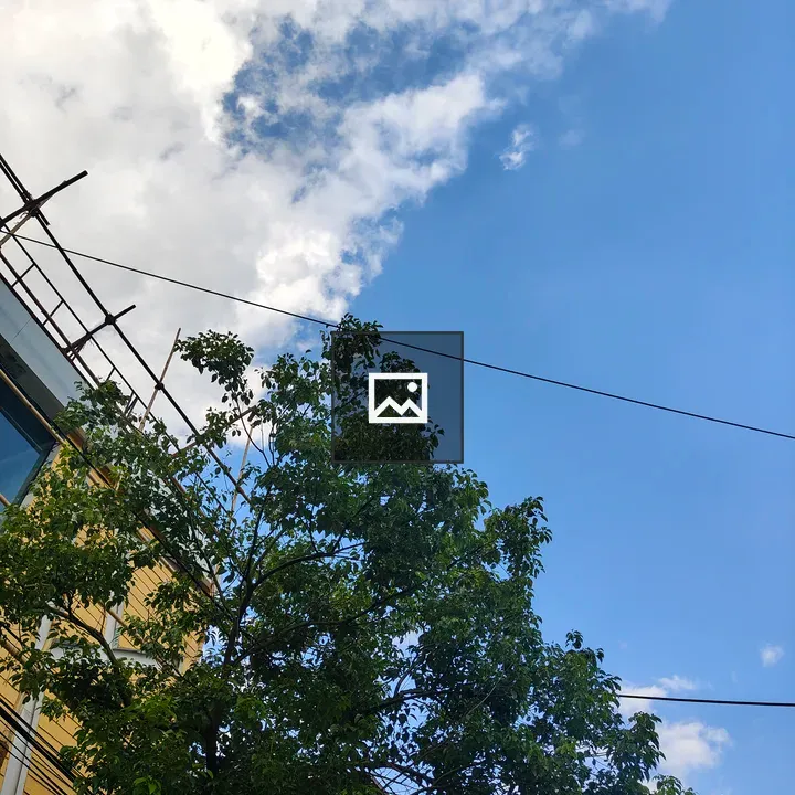 Sky view framed by leaves