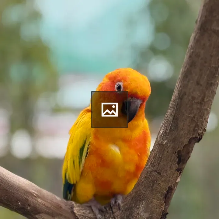 Parrot on a Branch