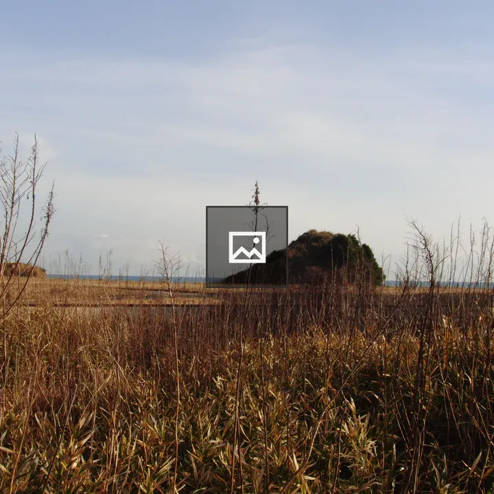 Island landscape with grasses