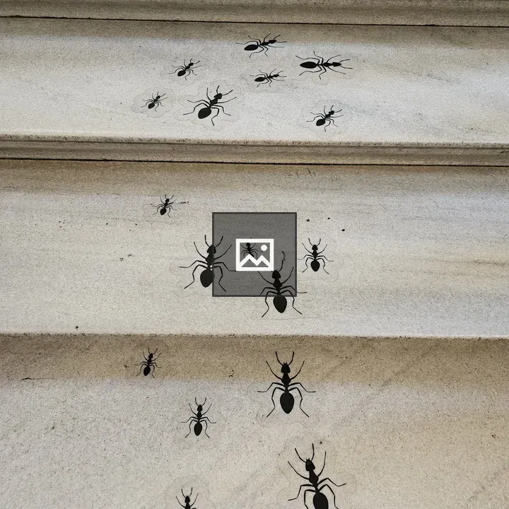 Staircase with Ant Stickers