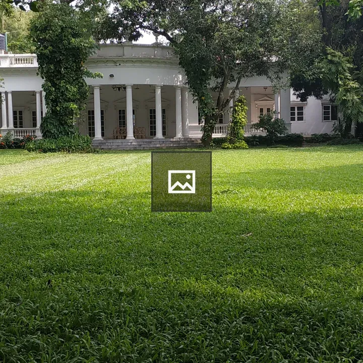 White house with surrounding trees