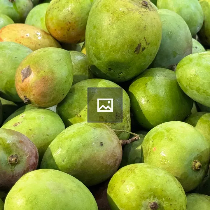 Green Mangoes Pile