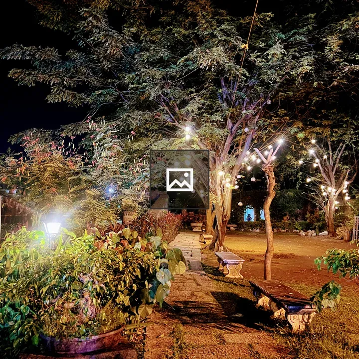 Night garden with hanging lights