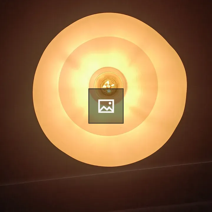 Bulb inside the light fixture