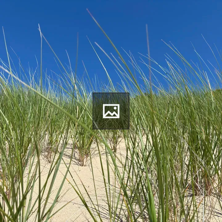 Seagrass in Sand