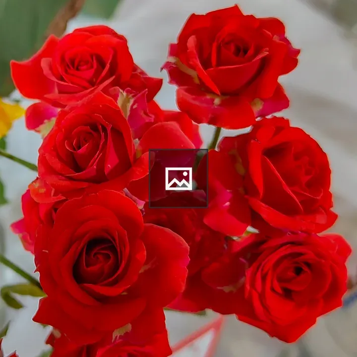 Red Rose Bouquet