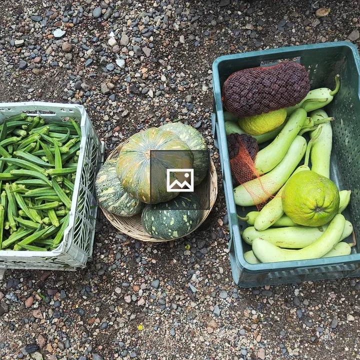 Basket of fresh fruits and vegetables