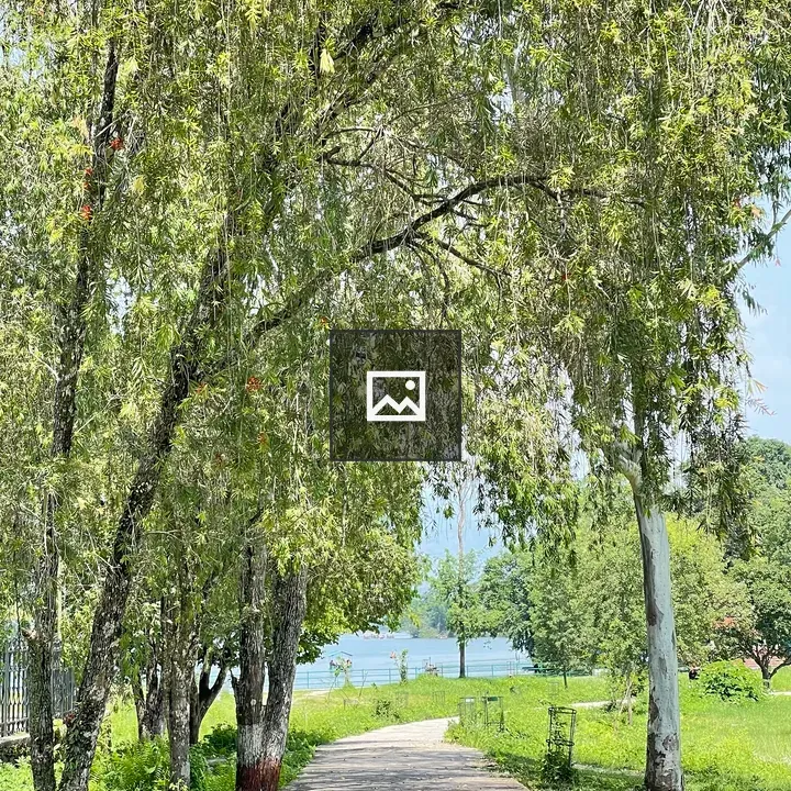 Pathway by Trees to Water