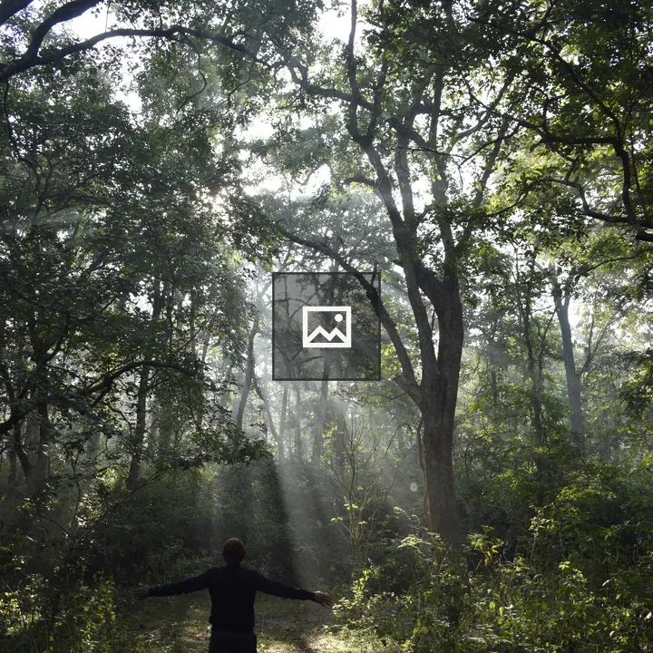 Boy in jungle light