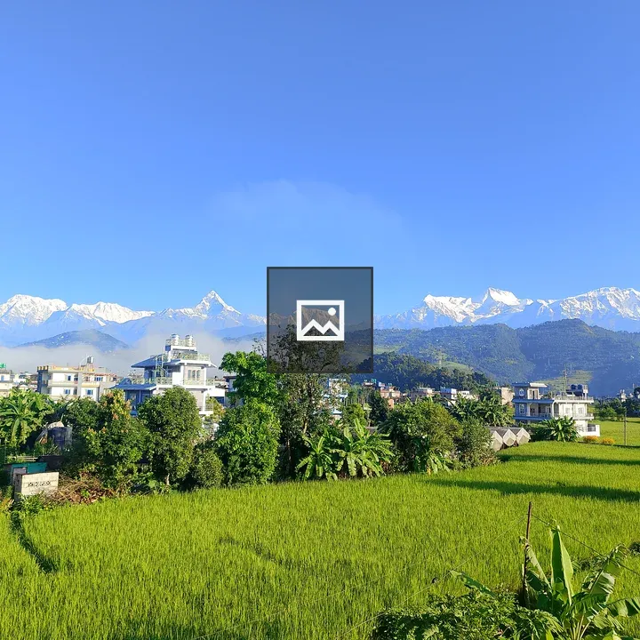 Snow-capped mountains above rice fields