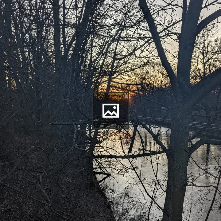 Sunset Through Bare Trees by River