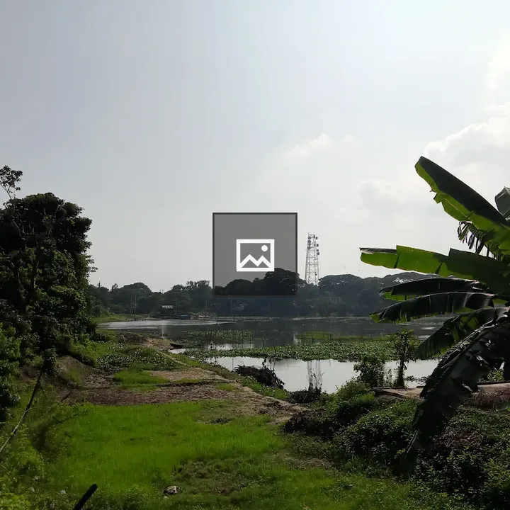 Trees and lake landscape