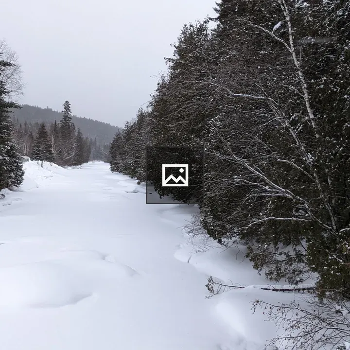 Frozen river in forest