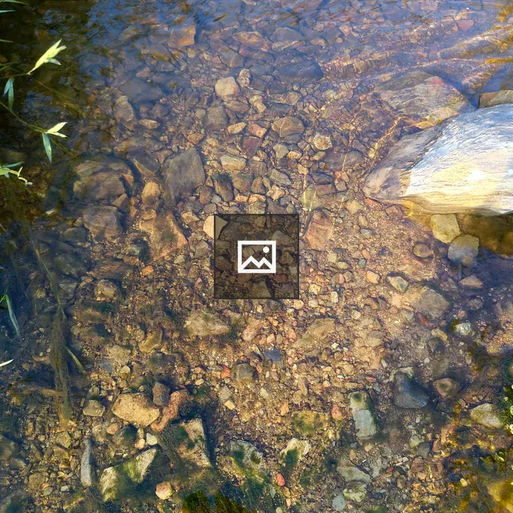 Shallow streambed with stones