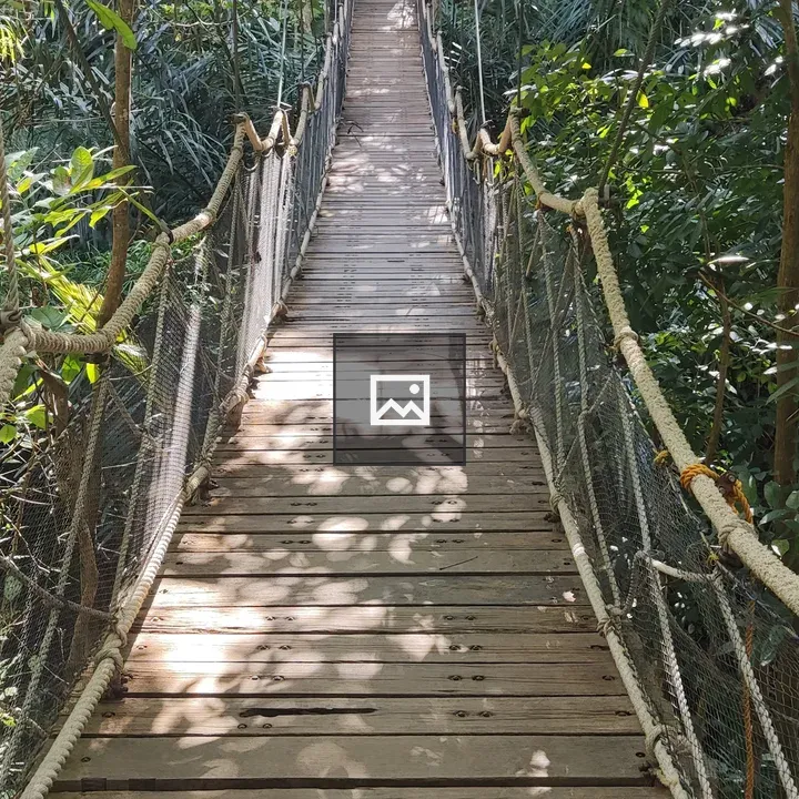 Hanging Bridge