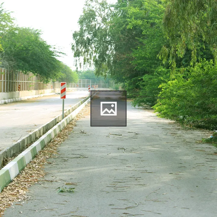 Jihad Recreational Forest Park road