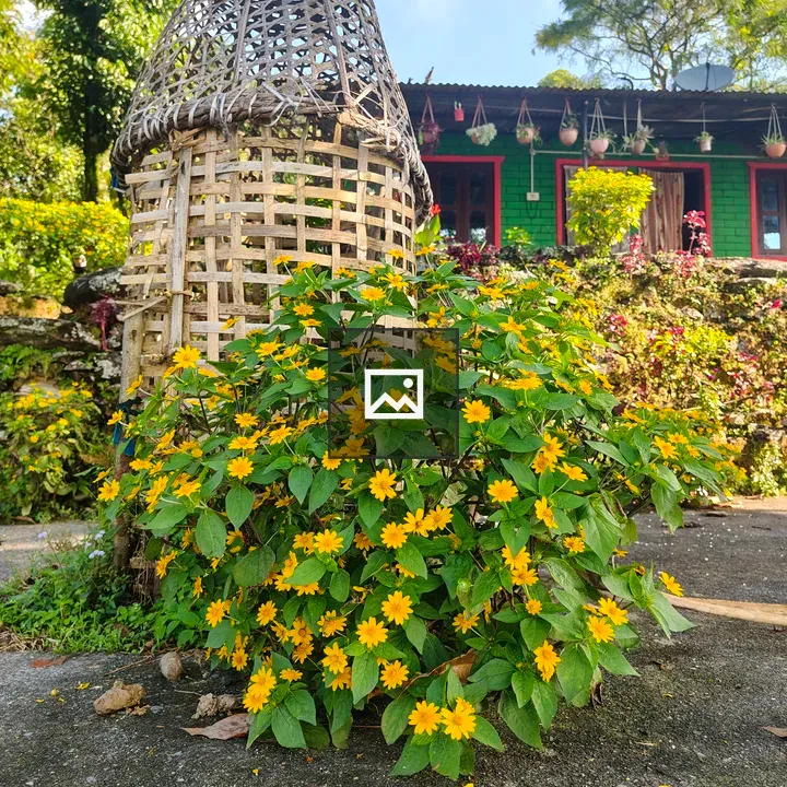 Woven Bamboo Structure by Flowering Bush