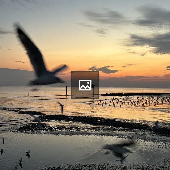 Coastal Sunset with Seabirds