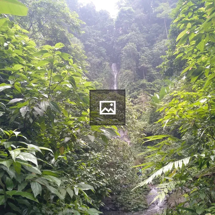 Jungle Waterfall Scene