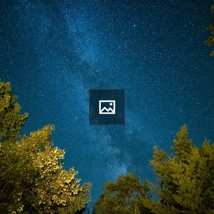 Milky Way Above Forest