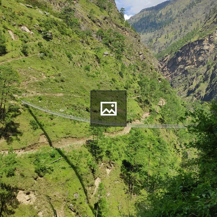 A lush green landscape with hills