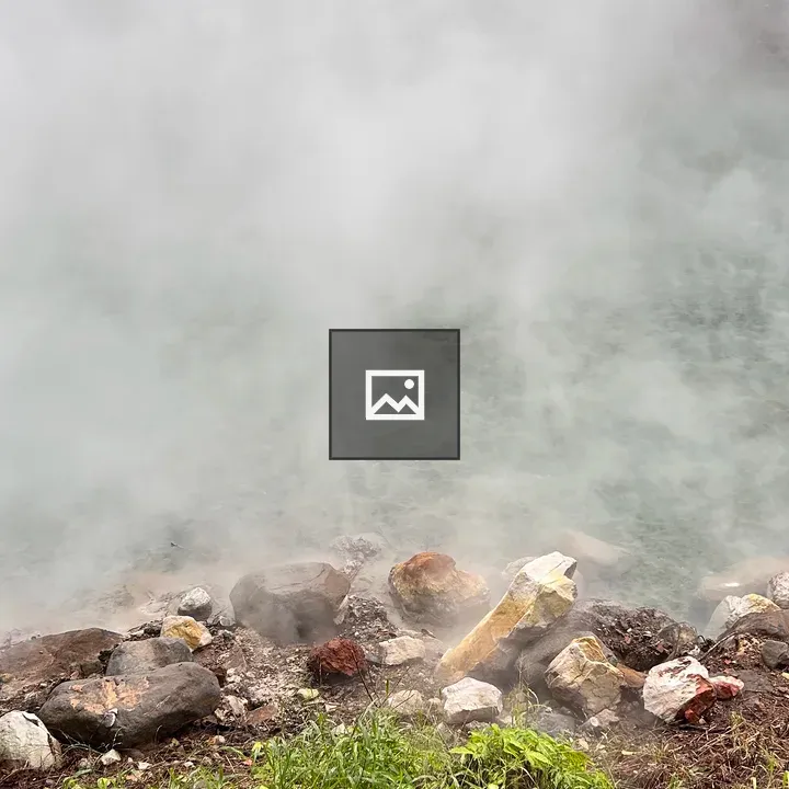 Misty landscape with steaming ground