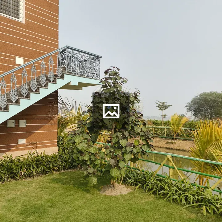 Tree in Garden by Stairs