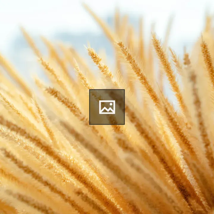Yellow grass flower