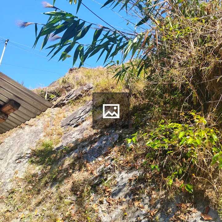 Rocky hillside with grasses