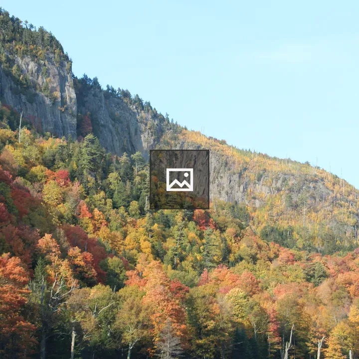 Autumn foliage in Adirondacks landscape