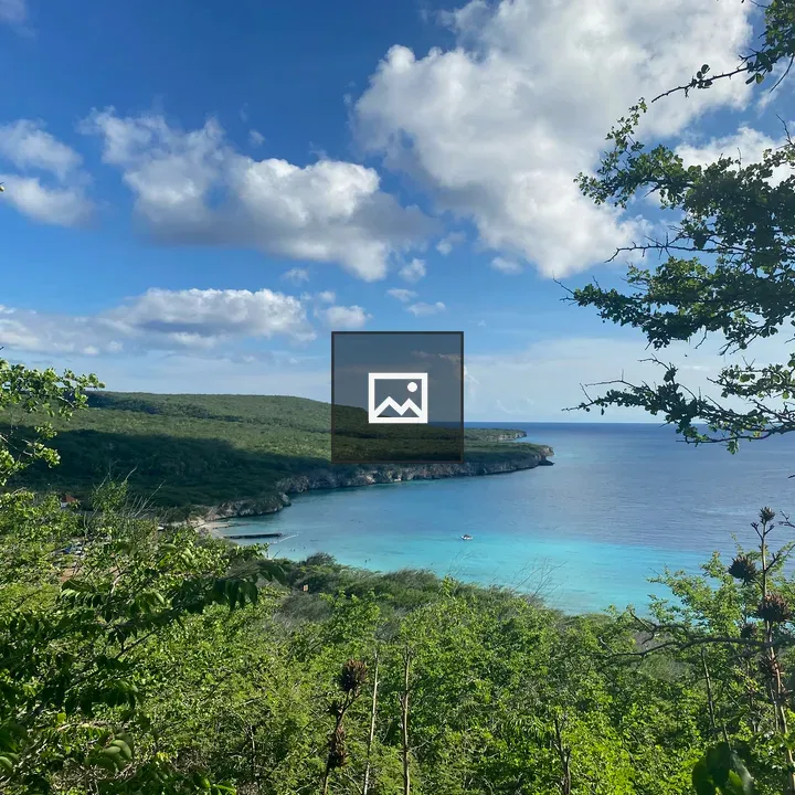 View from a Hill at Playa Porto Marie
