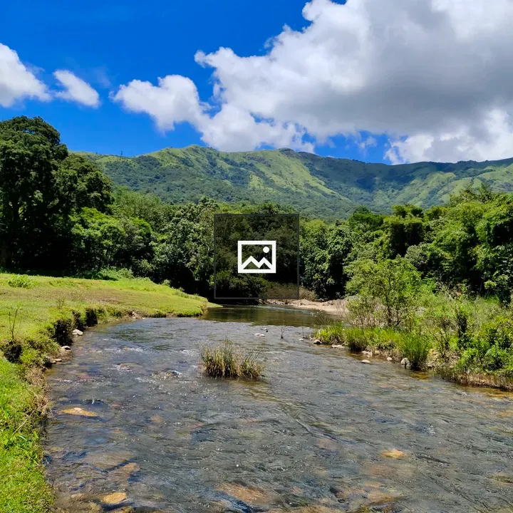 Valley view with trees and river