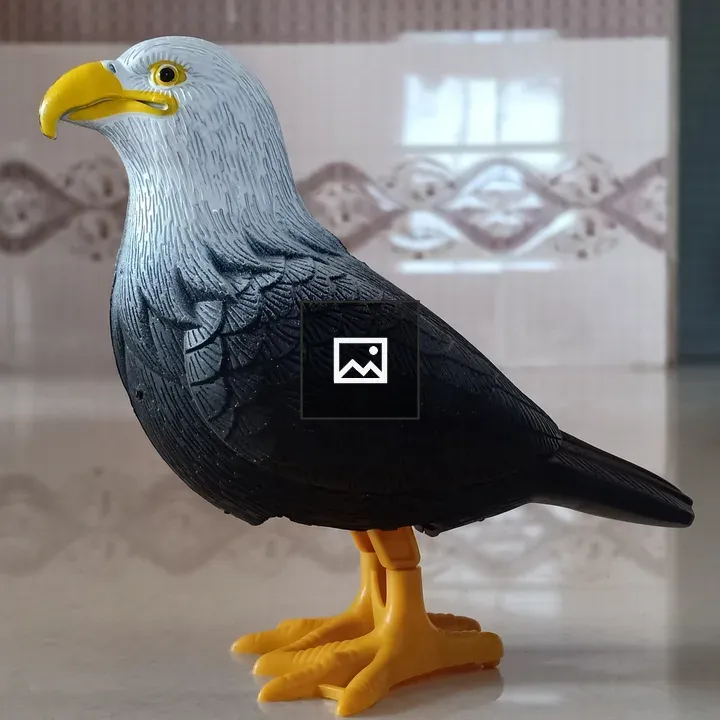 Pigeon in Still Life