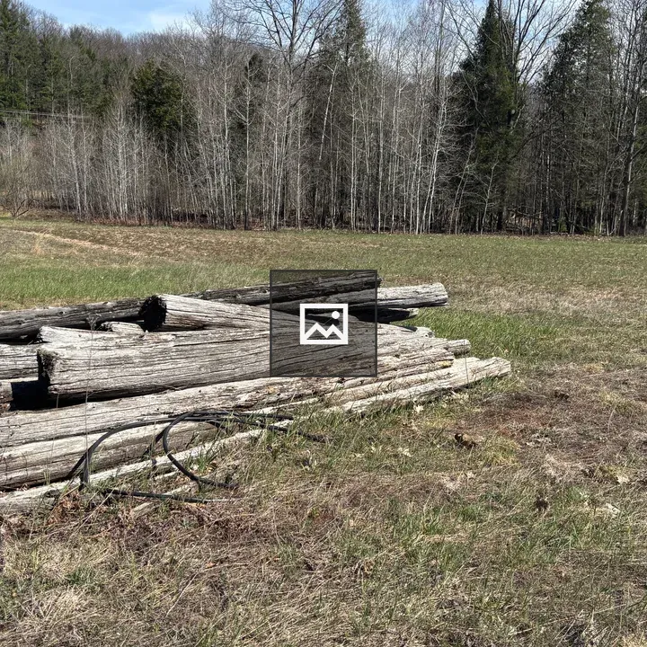 Weathered logs in a field