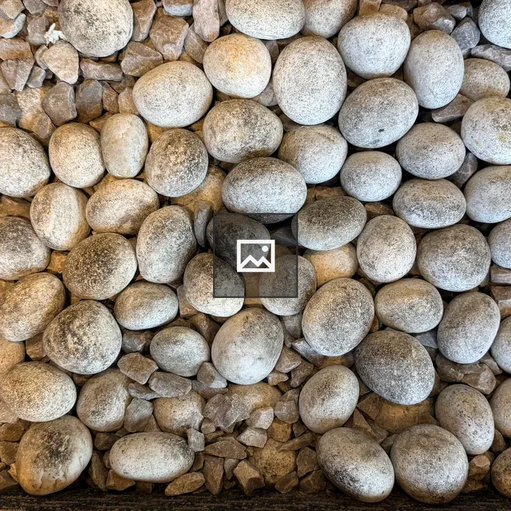 Close-up of gray pebbles and rocks