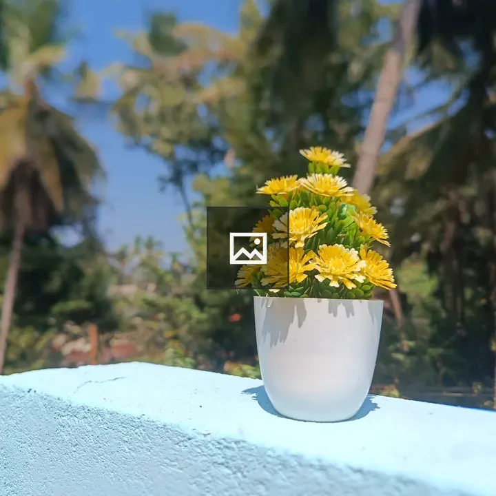 Yellow flower in pot