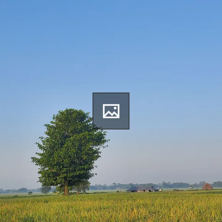 Solitary tree in a verdant field