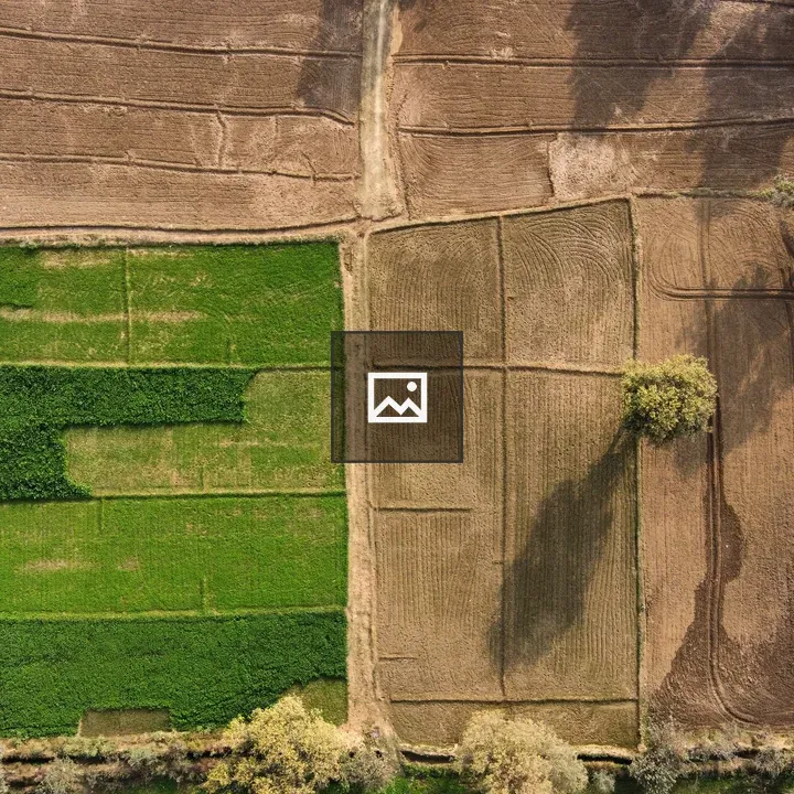 Drone view of a field