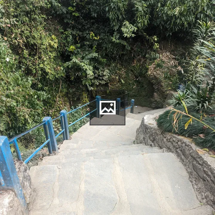 Stone steps with blue railing