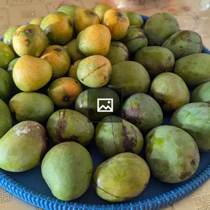 Mangoes in a Basket