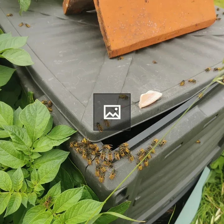 Broken compost bin among foliage