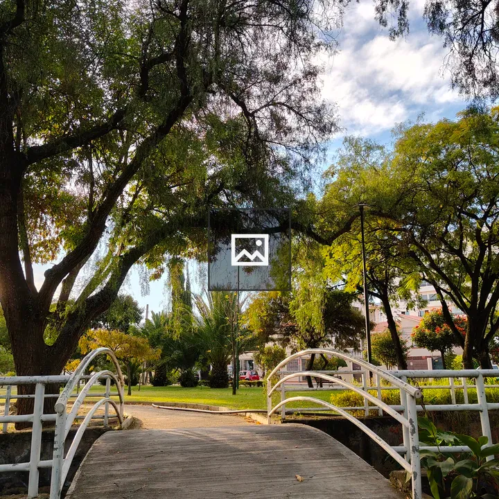 White bridge in a park